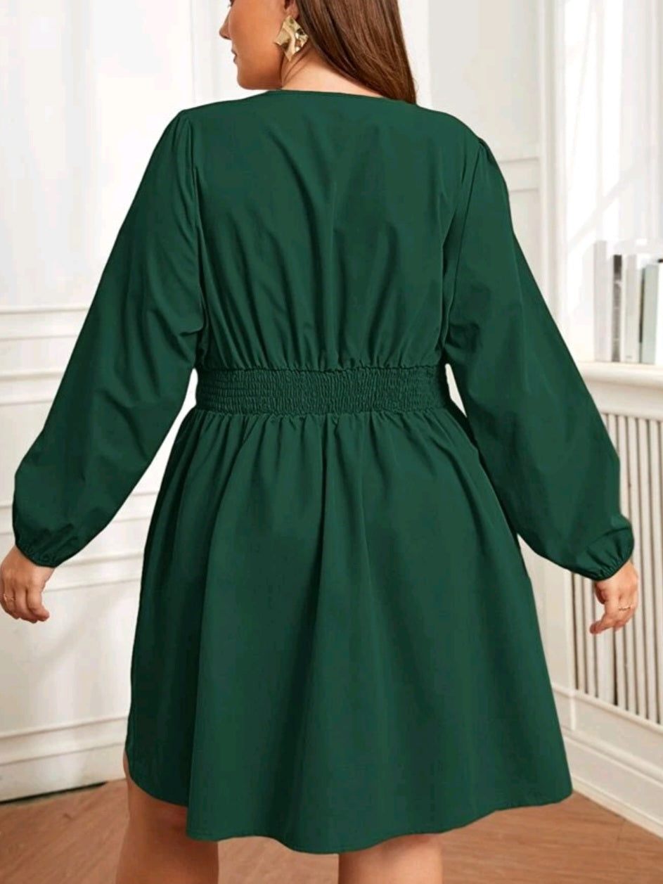 Surplice Neck Lantern Sleeve Dress