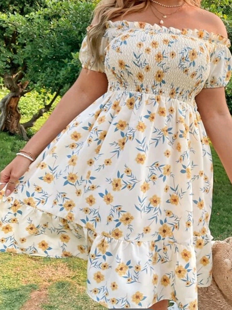 Off Shoulder Shirred Ruffle Hem Dress