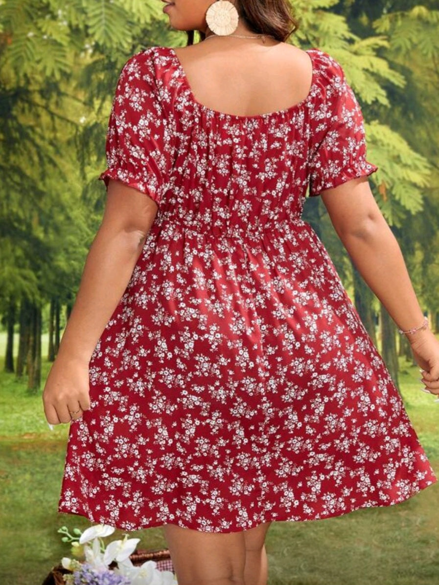 3023 Ditsy Floral Print Knot Front Dress