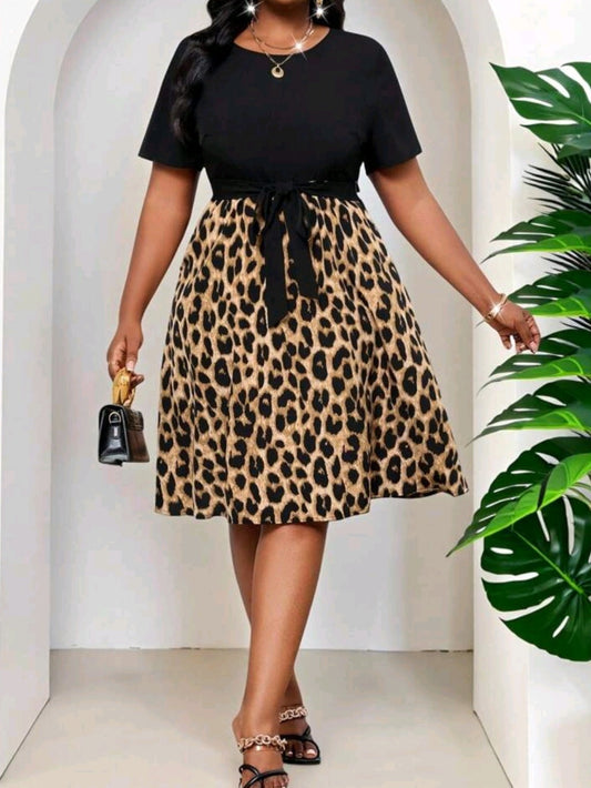 S #0464 Leopard Print Knitted Round Neck Flared Belted Dress