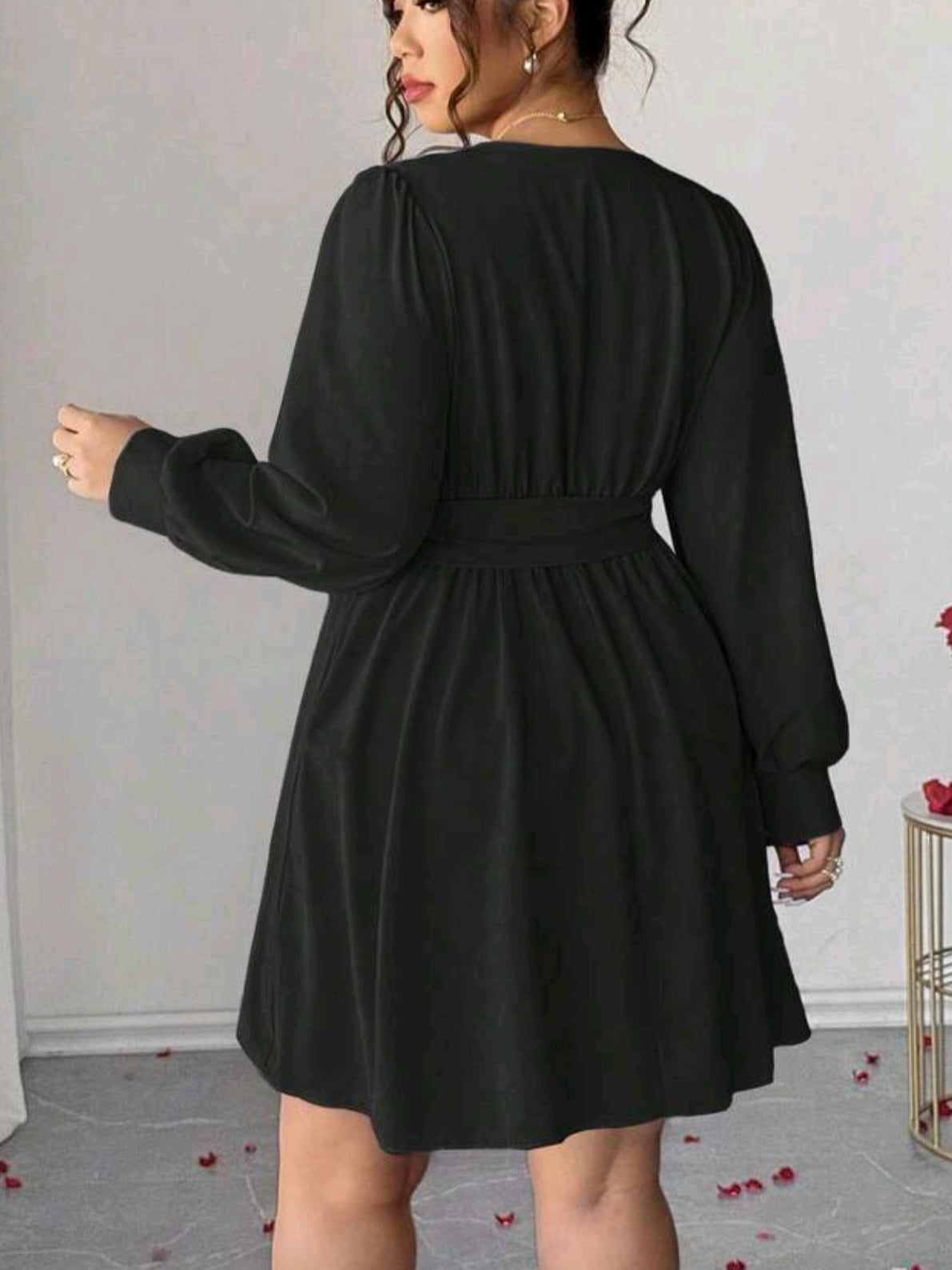 2651 V-Neck Long Sleeve Bow Tie Waist Flared Dress