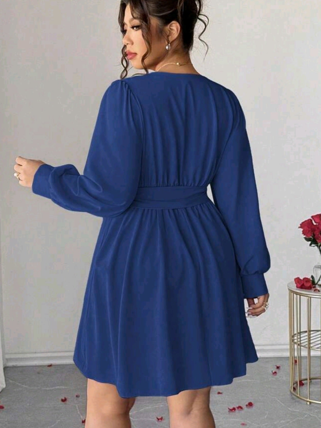 0223 V-Neck Long Sleeve Dress